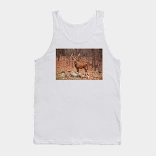 King of the forest Tank Top